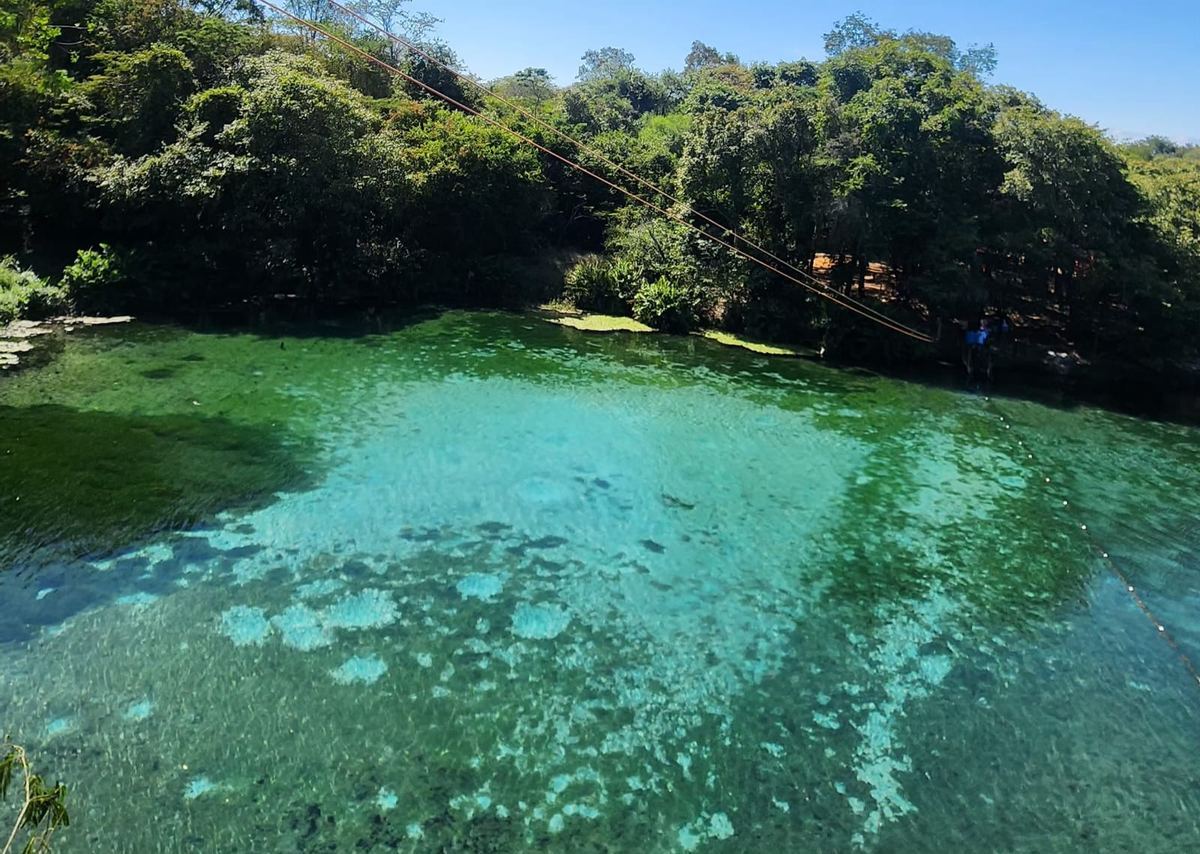 Lagoa cristalina de águas verde-turquesa na Fazenda Pratinha, Chapada Diamantina